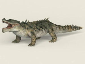 cocodrilo realista de baja poli Modelo 3D