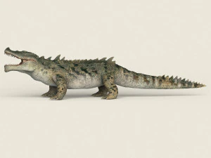 low poly realistic crocodile 3D Model