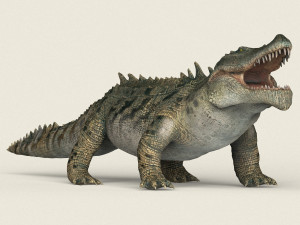 low poly realistic crocodile 3D Model