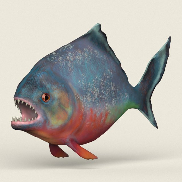 low poly realistic piranha Modelo 3D .c4d .max .obj .3ds .fbx .stl .blend 