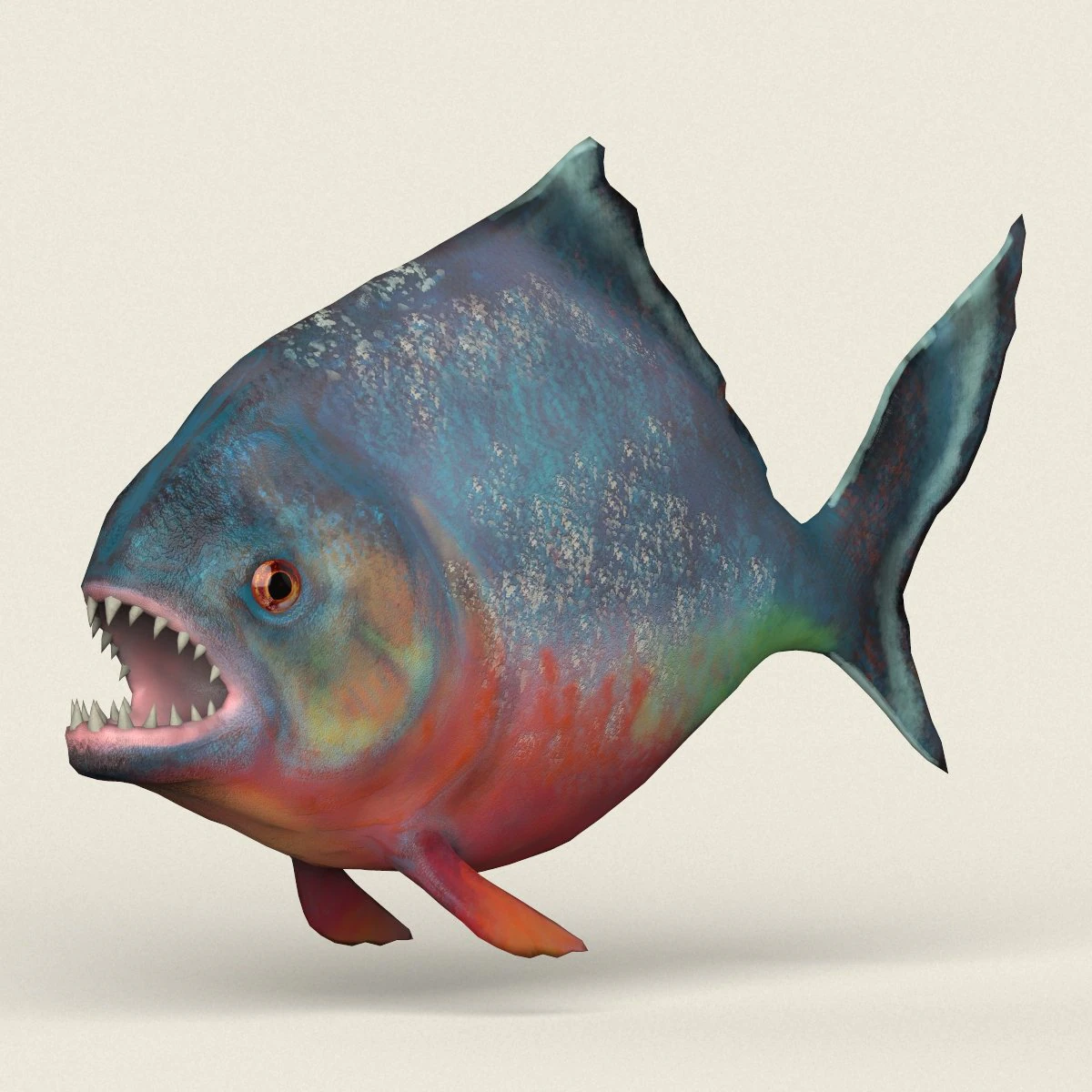 low poly realistic piranha 3D Model .c4d .max .obj .3ds .fbx .stl .blend