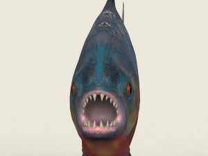 low poly realistic piranha Modelo 3D