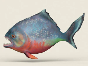 low poly realistic piranha 3D Model