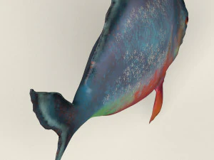 low poly realistic piranha 3D Model