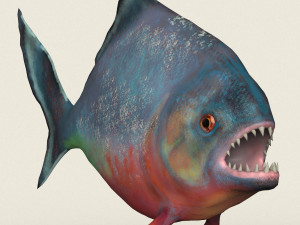 low poly realistic piranha Modelo 3D