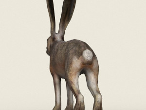low poly realistic rabbit 3D Model