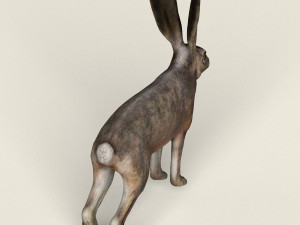 low poly realistic rabbit 3D Model