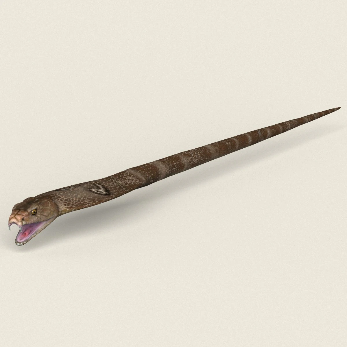 low poly realistic cobra 3D Model .c4d .max .obj .3ds .fbx .stl .blend