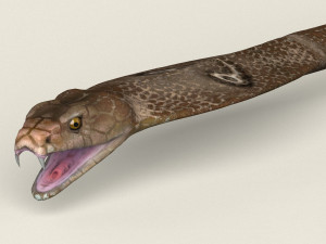low poly realistic cobra 3D Модель
