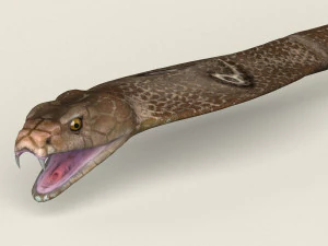 low poly realistic cobra 3D Model
