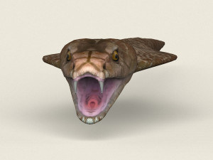 low poly realistic cobra 3D Модель
