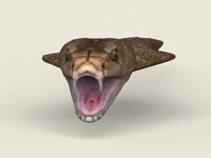 low poly realistic cobra 3D Model