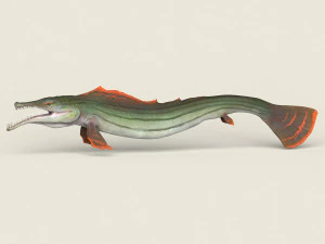 low poly realistic pike fish 3D Model