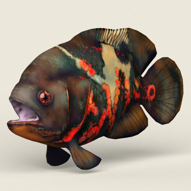 low poly realistic oscar fish Modello 3D .c4d .max .obj .3ds .fbx .stl .blend 