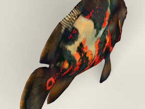 low poly realistic oscar fish Modello 3D