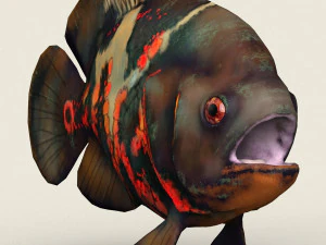 low poly realistic oscar fish 3D Model
