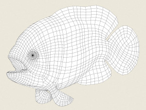 low poly realistic oscar fish Modello 3D