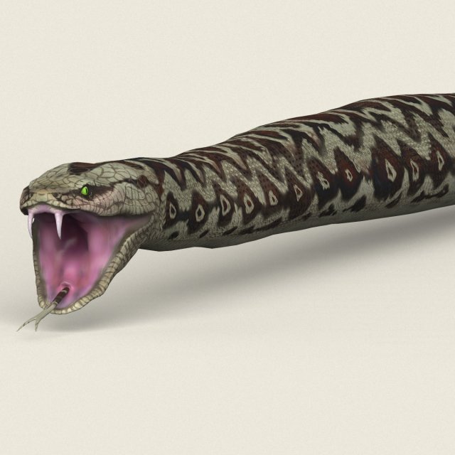 low poly realistic anaconda Modelo 3D .c4d .max .obj .3ds .fbx .stl .blend 