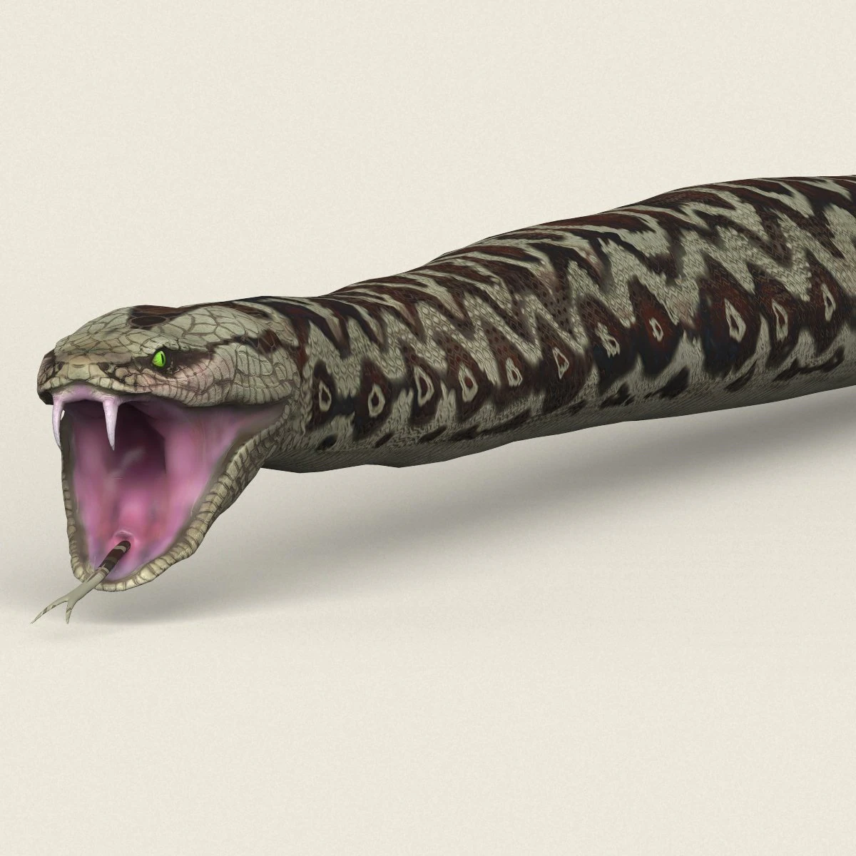 low poly realistic anaconda 3D Model .c4d .max .obj .3ds .fbx .stl .blend 