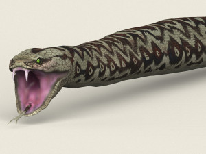 low poly realistic anaconda 3D Model