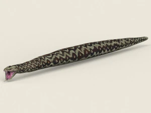 low poly realistic anaconda 3D Model