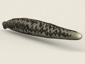 low poly realistic anaconda 3D Model