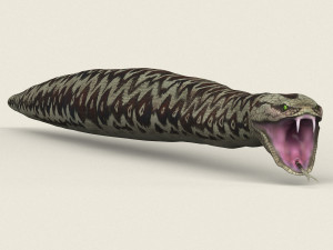 low poly realistic anaconda Modelo 3D