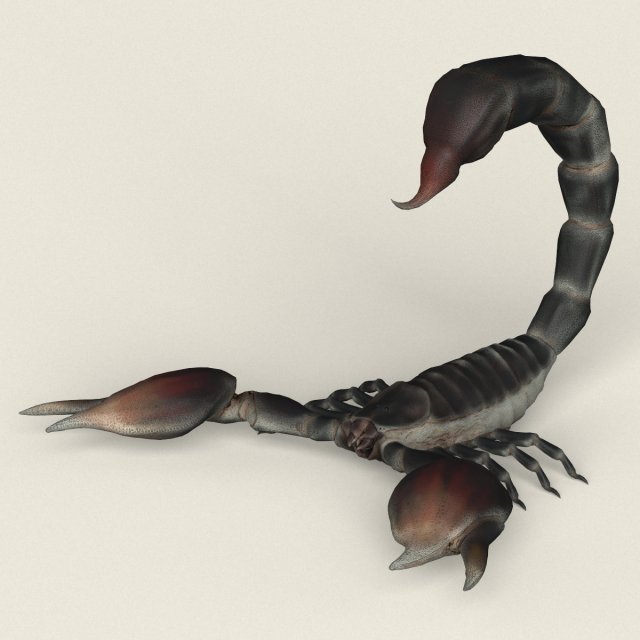 Scorpion 3d Models Download 3d Scorpion Available Formats C4d Max Obj Fbx Ma Blend 3ds 0656