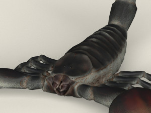 low poly realistic scorpion 3D-Modell