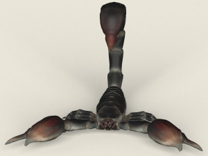 low poly realistic scorpion 3D-Modell