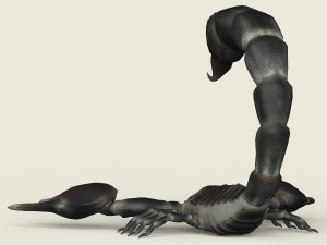 low poly realistic scorpion 3D-Modell