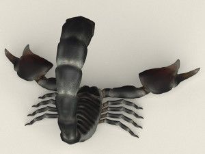low poly realistic scorpion 3D-Modell