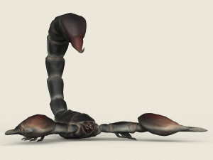 low poly realistic scorpion 3D-Modell