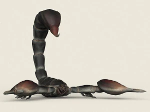 low poly realistic scorpion 3D Model