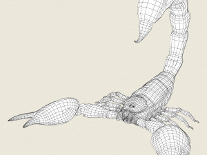 low poly realistic scorpion 3D-Modell