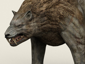 monster wolf 3D Model
