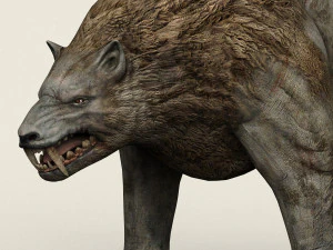 monster wolf 3D Model