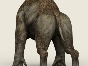 monster wolf 3D Model