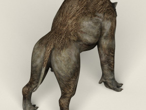 monster wolf 3D Model