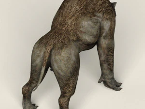 monster wolf 3D Model