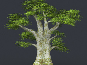 low poly tree 01 3D Модель