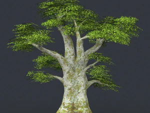 low poly tree 01 3D Model