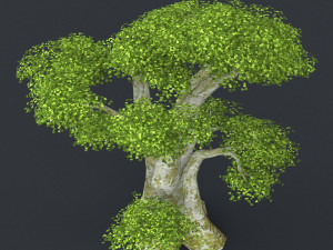 low poly tree 01 3D Модель