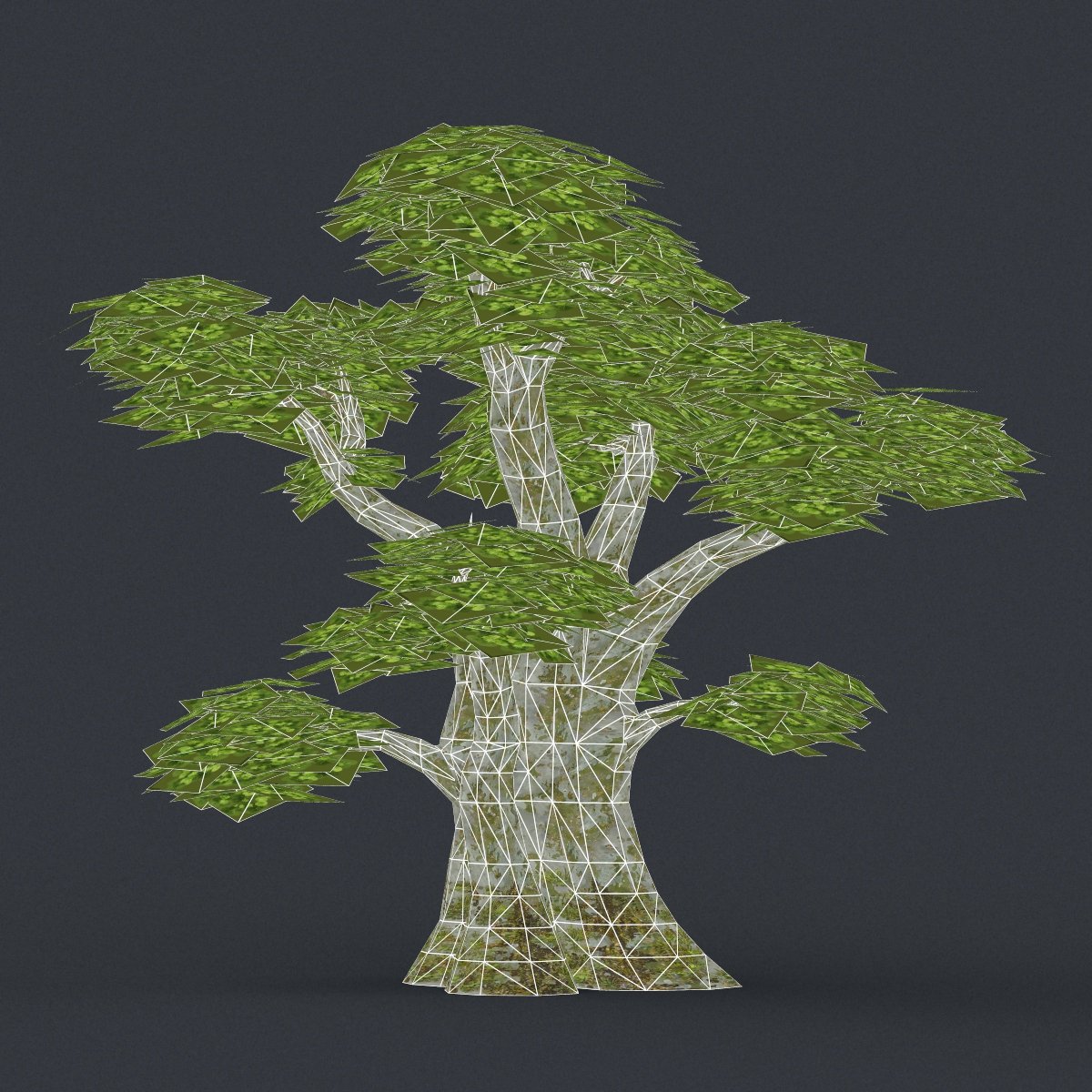 Tree modeling. Дерево 3д модель Low Poly. 3d деревья Low Poly. Лоу Поли деревья 3д модели. Low Poly Tree 3d model.