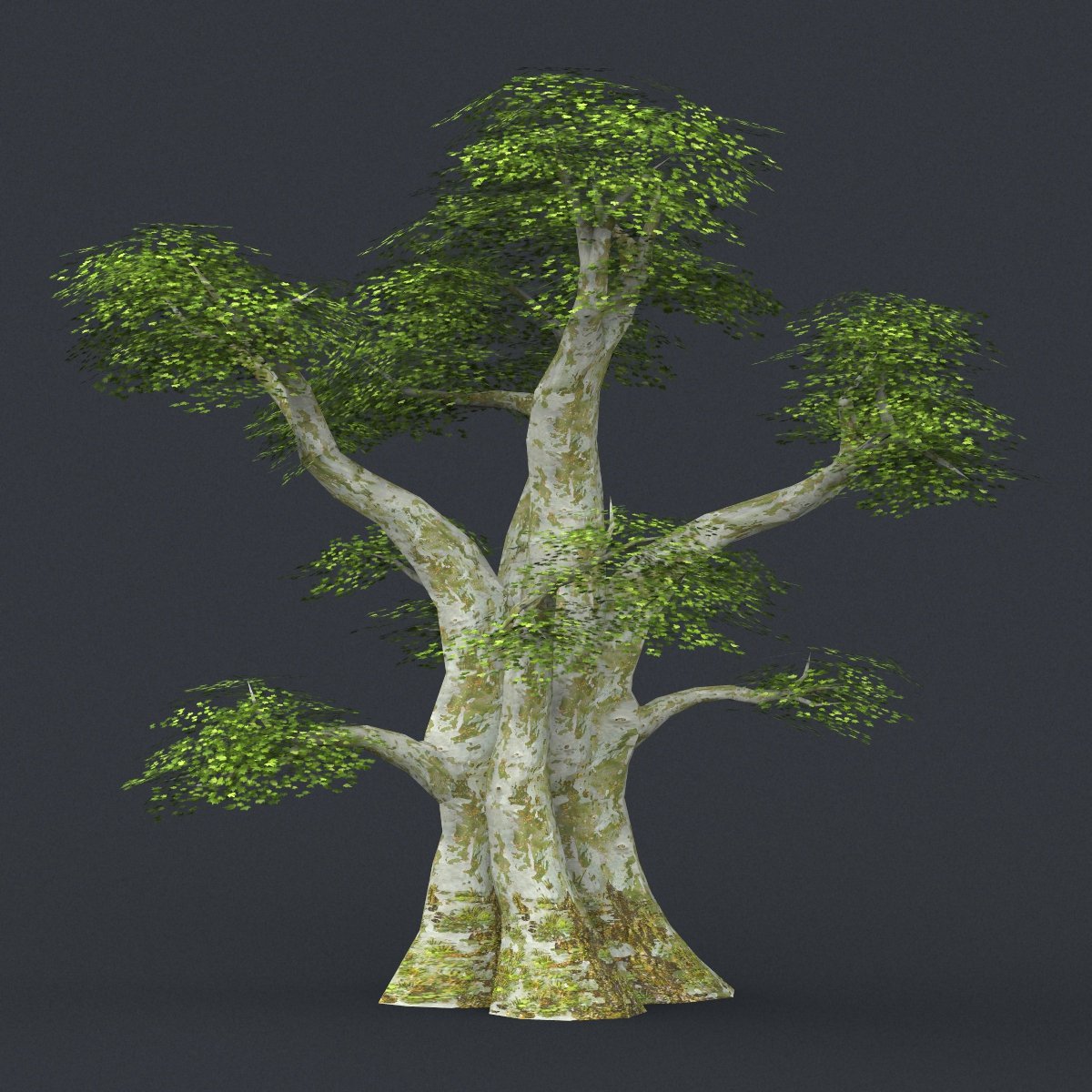 Дерево в 3 d. Лоу Поли дерево 3ds Max. Деревья для моделирования. 3d модель дерева. 3д модели дерева в интерьере.