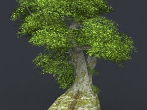 low poly tree 02 Model 3D