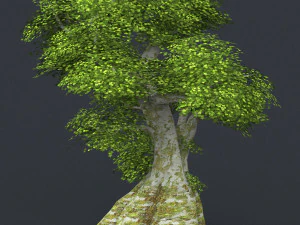 low poly tree 02 3D Model