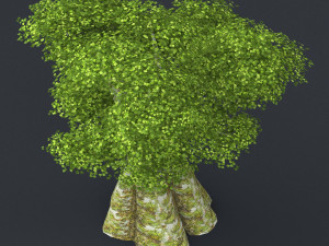 low poly tree 02 Model 3D