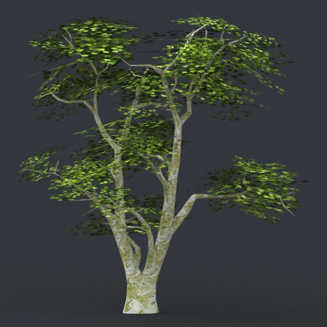 low poly tree 04 3D Model .c4d .max .obj .3ds .fbx .stl .blend 