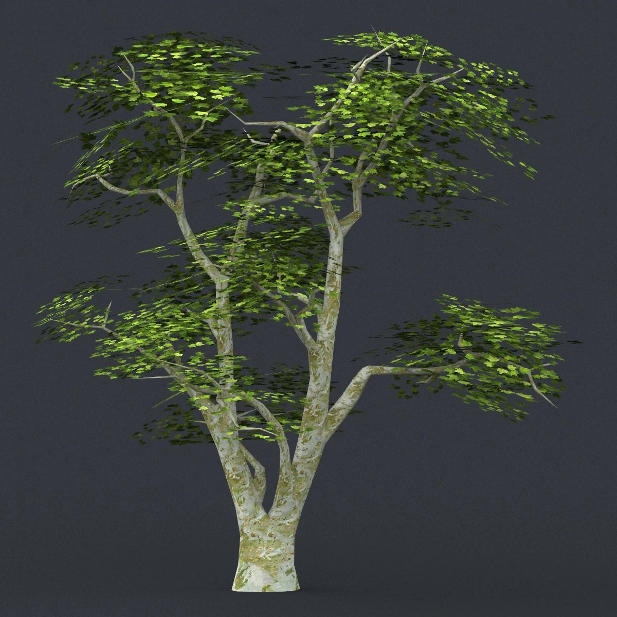 low poly tree 04 3D Model .c4d .max .obj .3ds .fbx .stl .blend